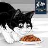 Image Pack nourriture pour chat Purina FELIX Succulent Grill Poulet, Bœuf, Saumon, Thon en Sauce 80x80g