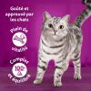 Image Méga Pack Nourriture pour chat WHISKAS Tasty Mix Country Collection