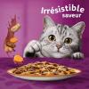 Image Méga Pack Nourriture pour chat WHISKAS Tasty Mix Country Collection